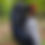 Thumbnail: Big Wild 70L - Internal Frame