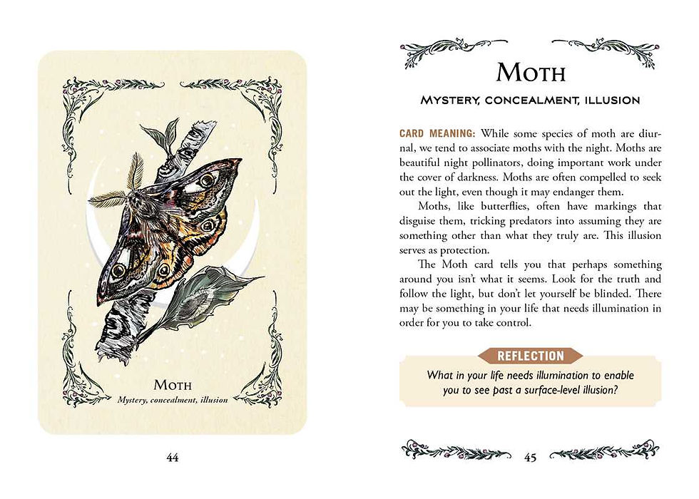 Thumbnail: Green Witch's Oracle Deck by Arin Murphy-Hiscock