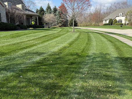 Why Spring Lawn Growth Happens So Fast