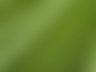 One of Our Clients Lawns