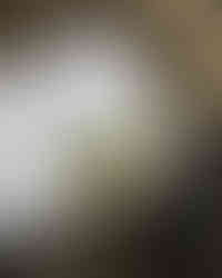 Книга про птахів