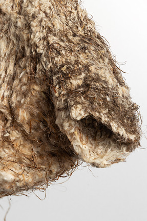 Гніздо ремеза звичайного (Remiz pendulinus). Вхід