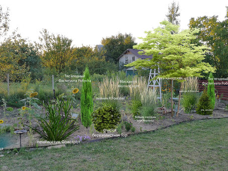 Создание миксбордера в саду