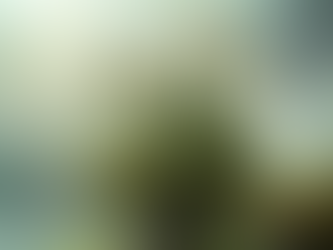 Мікориза в садівництві: Чи справді необхідно вносити її додатково? Дізнайтесь, коли це неефективно