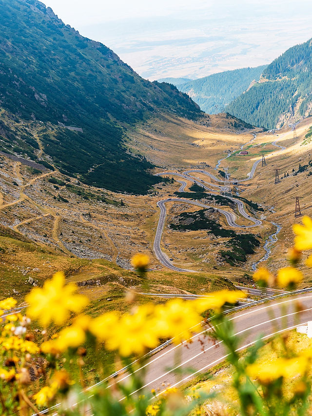 Transfăgărășan