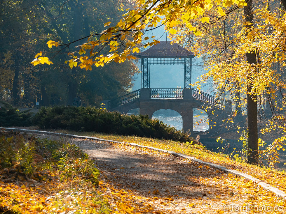 Дендропарк Александрия, Белая Церковь