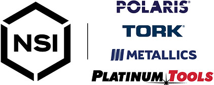 NSI - Logo 2022 copy.jpg