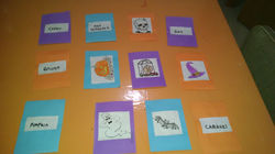 IMG_20141217_183527572