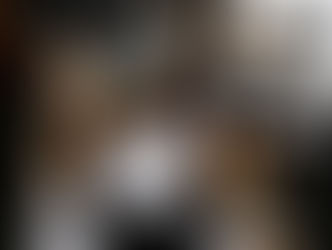 Property Management Tampa Bay Property Management with Tampa Bay Property Management LLC in Tampa.