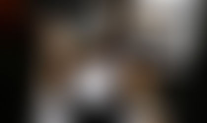 Property Management Tampa Bay Property Management with Tampa Bay Property Management LLC in Tampa.