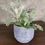 Thumbnail: Aboriginal Planter - Small