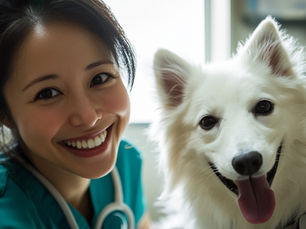 犬と暮らす前の準備
