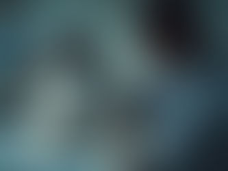 犬のブルセラ症