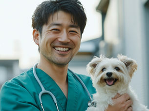 犬の保険:病気の予防と安心のサポート