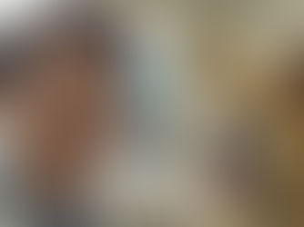 トイ・プードルの特徴と健康管理の基礎知識