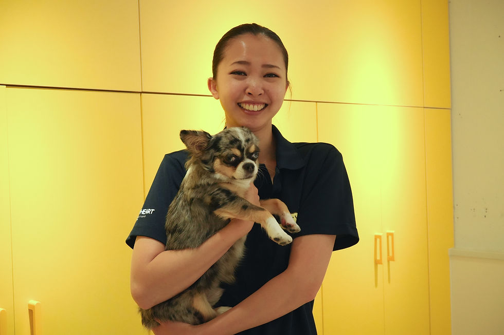 犬のほいくえんLEMON HEART PETLIF