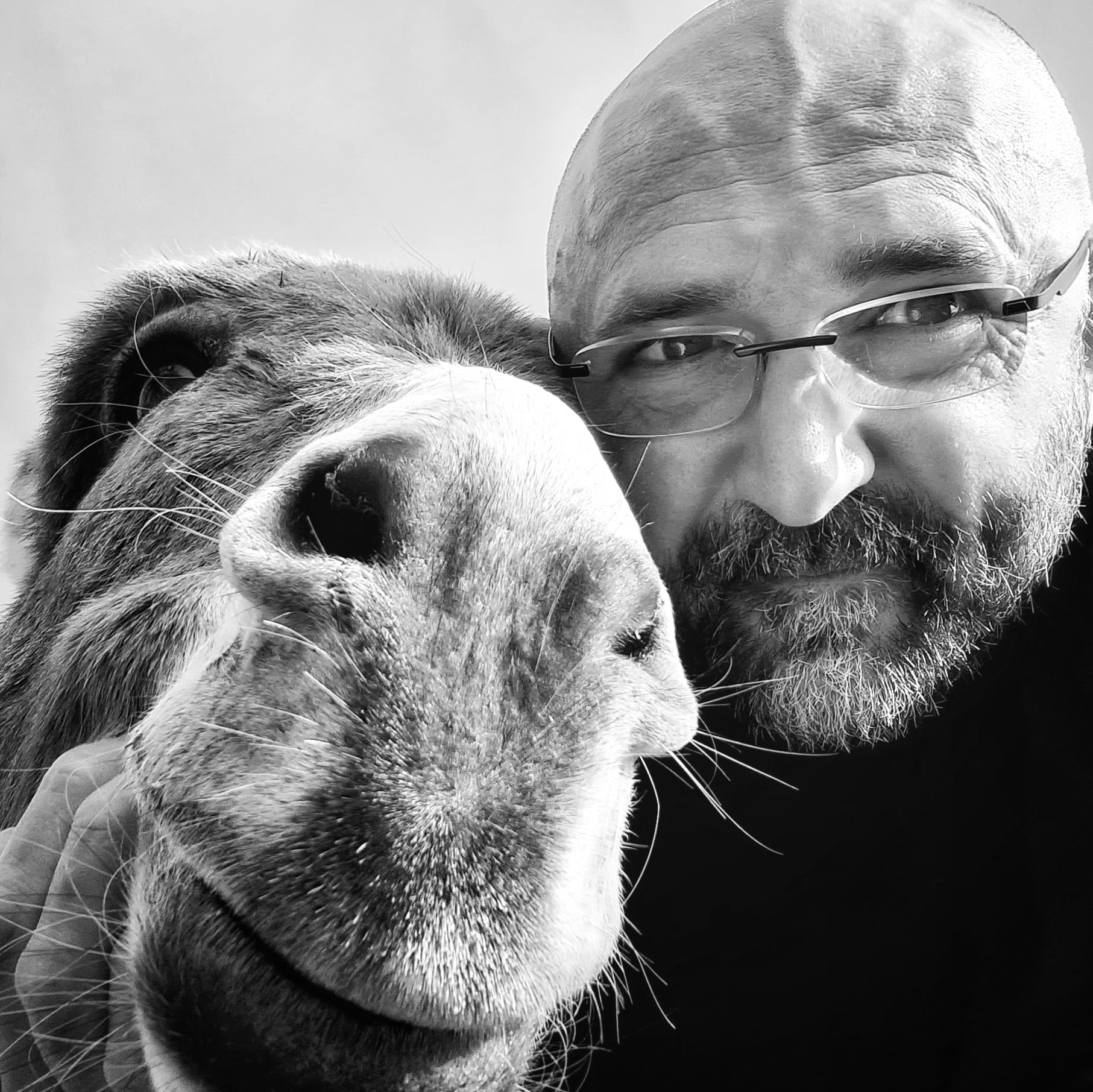 Writer: Paweł Zając