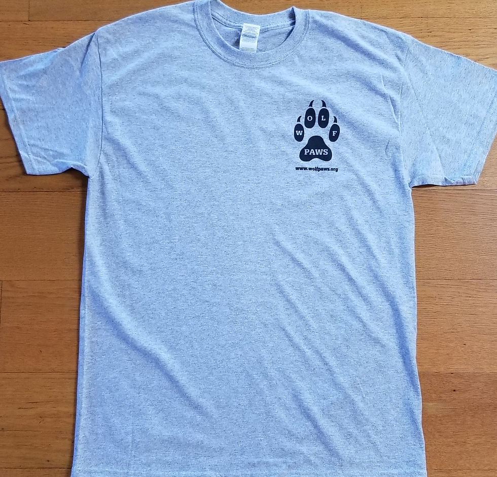 Thumbnail: Wolf-dog Sponsorship for one year