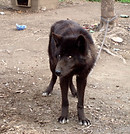P1010017-800.jpg