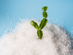 Sustainable TPE compounds from Alphagary (Orbia) -- EVOPRENE® ECO 1000 – TPE compounds built with sustainable raw materials.