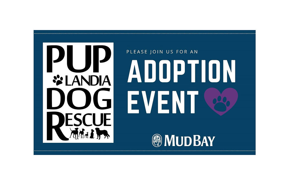PDR goes to Mud Bay - Timberland