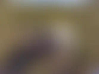 Secluded Cabin with Majestic Mountain Views