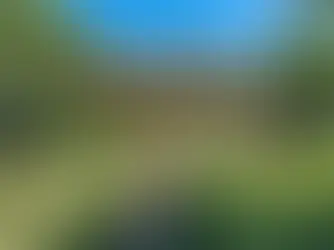 Traditional Home on a Corner Lot