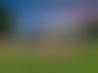 A Stylish Farmhouse-Style Retreat