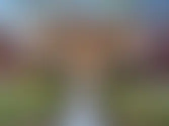 A Timeless Detroit Home