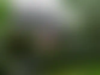 Historic Mansion on 1,060 Acres