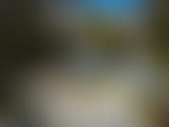 Acreage Living With Modern Comforts