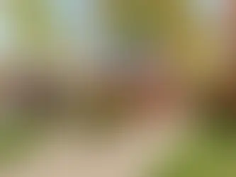 A Cozy Michigan Home