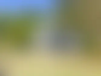 A Cozy Home with Endless Potential