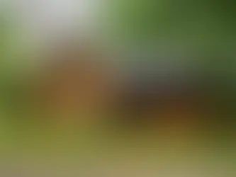 Log House in North Carolina