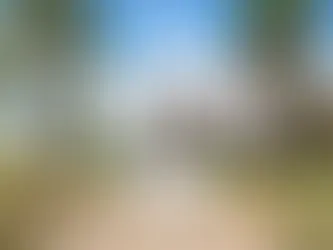 Stunning 1925 Spanish Colonial Revival Mansion