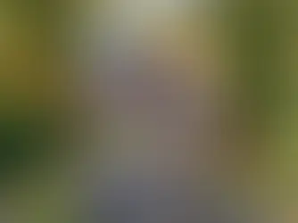 Cozy Buford Home With Charming Updates