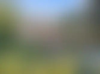 Mid-Century Moultrie Home