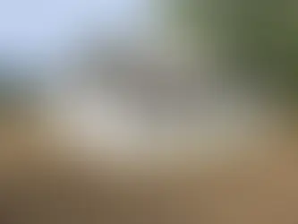 A Slice of Charm at a Great Price