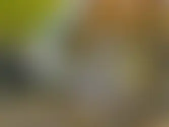 Charming Lansing Home