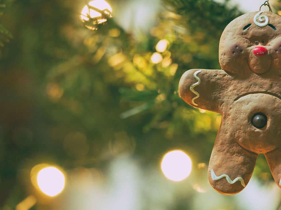 Willow Tree Counseling | WTC | Erin GraA