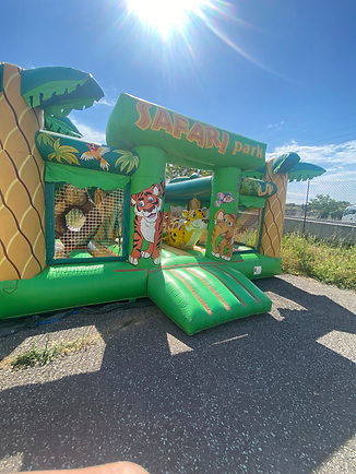 Chateau gonflable SAFARI