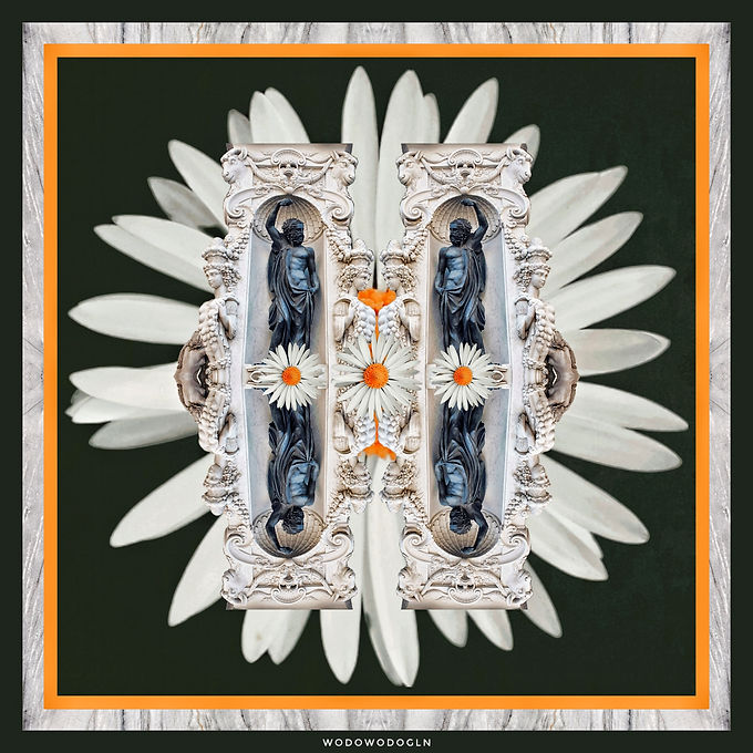 wodowodogln - Jupiter's Daisies.jpeg