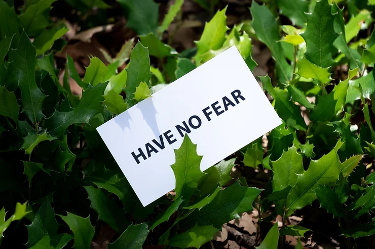 The words have no fear in some green bushes