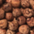 AA Bhodi Tree Wood.JPG