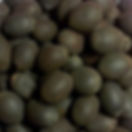 AA Lotus Seed.jpeg