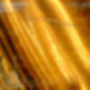 AA Tiger's Eye.jpeg