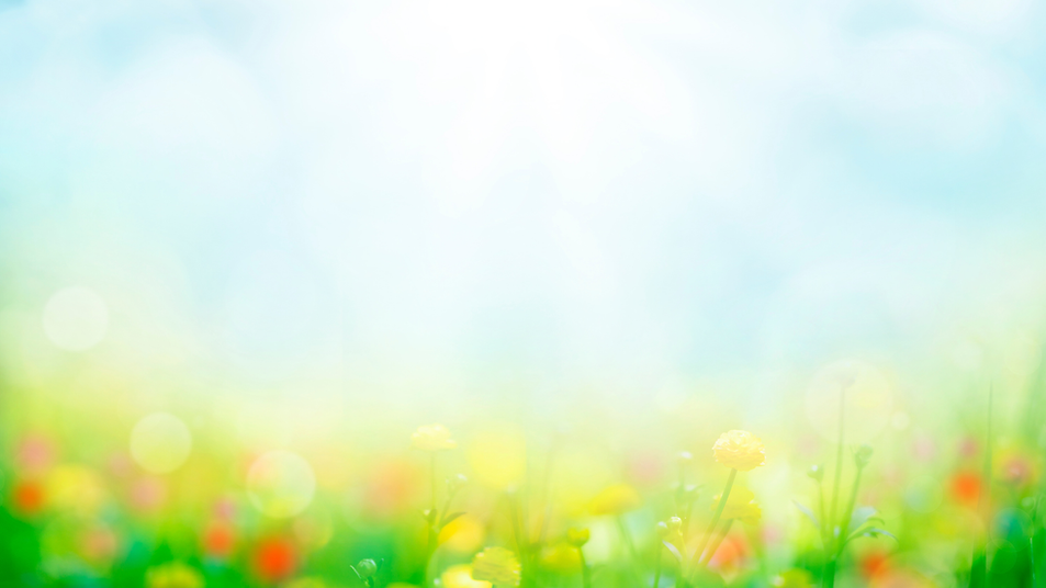 Untitled design (3).png