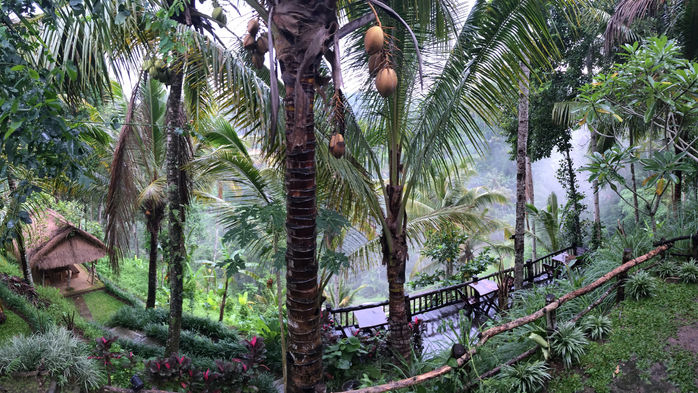 Ubud a Hot Springs
