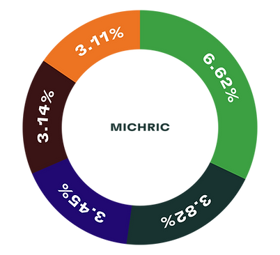 Stats Graphics_Web_2024_MICHRIC-02.png