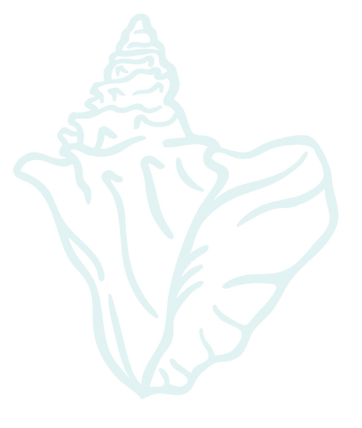 LOGO SHELL